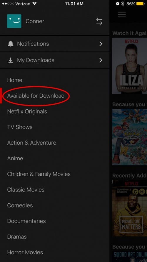 oglądaj Netflixa bez internetu