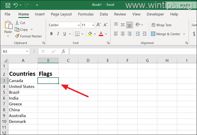 Cara Menyisipkan Gambar atau Gambar di Excel.