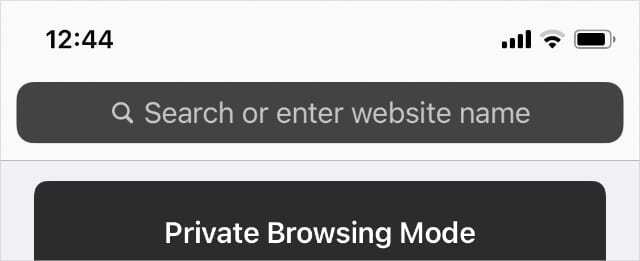 โหมดการท่องเว็บแบบส่วนตัวพร้อมแถบค้นหาสีเทาเข้มใน Safari บน iPhone