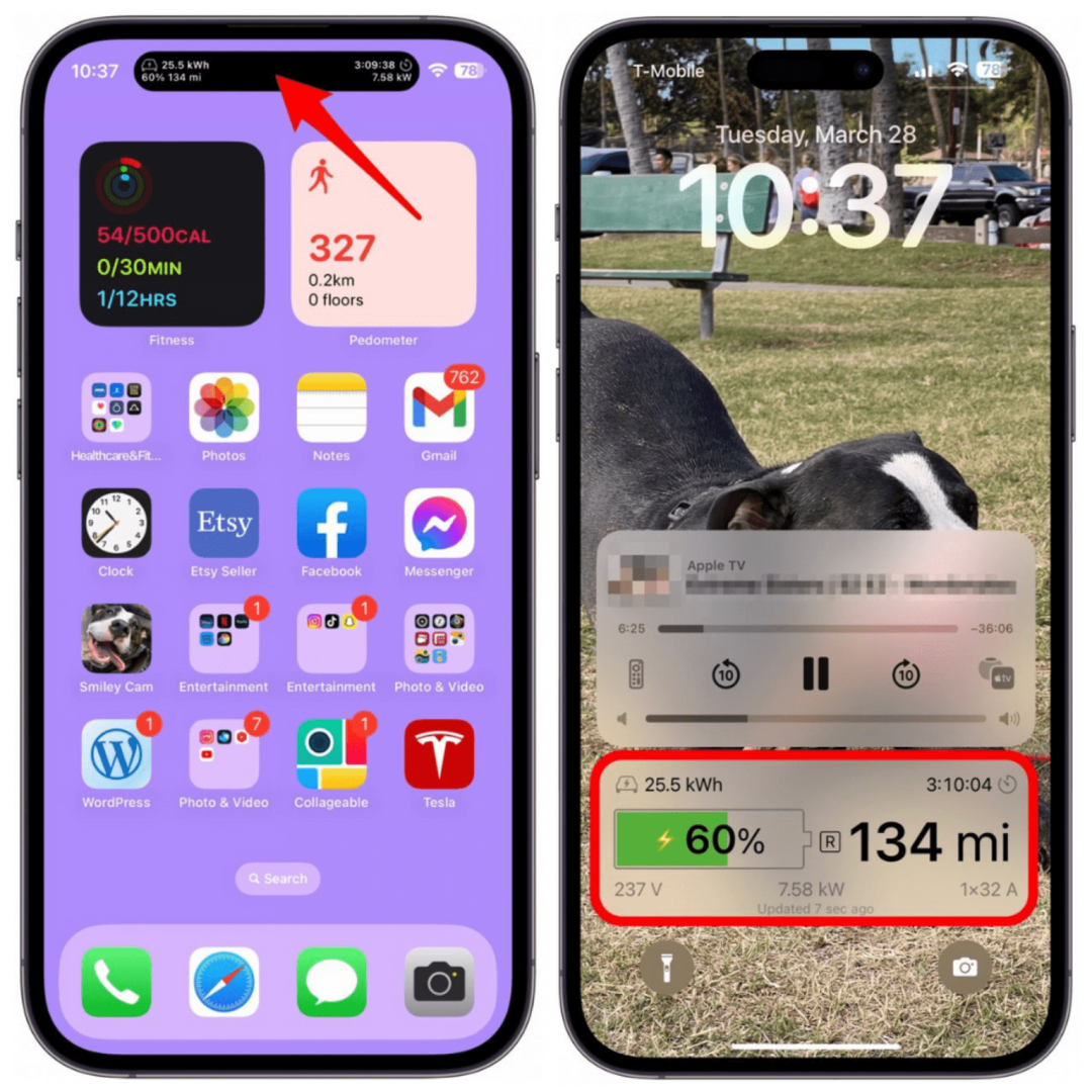 Meilleure application Tesla pour les utilisateurs d'Apple Watch