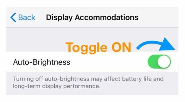 Impostazione della luminosità automatica di iOS 12 su iPhone