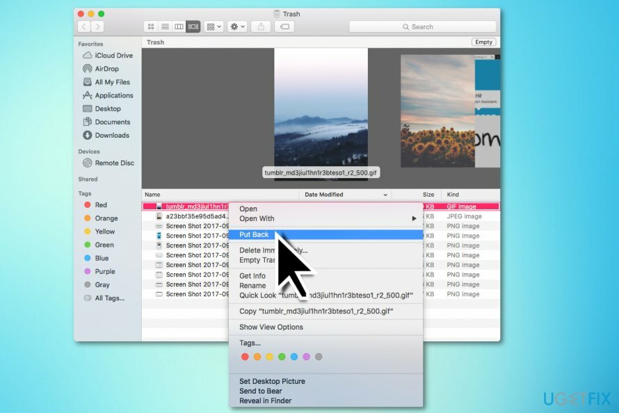 Wiederherstellen von Dateien aus dem Papierkorb auf dem Mac