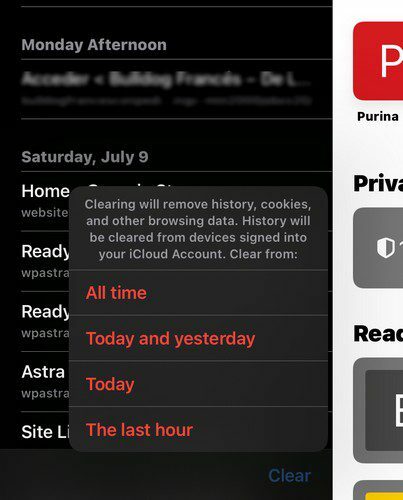 Очистить историю iPad Safari