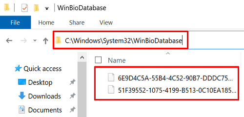 winbiodatabase-windows-გამარჯობა