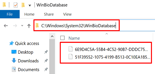 winbiodatabase-windows-γεια σας