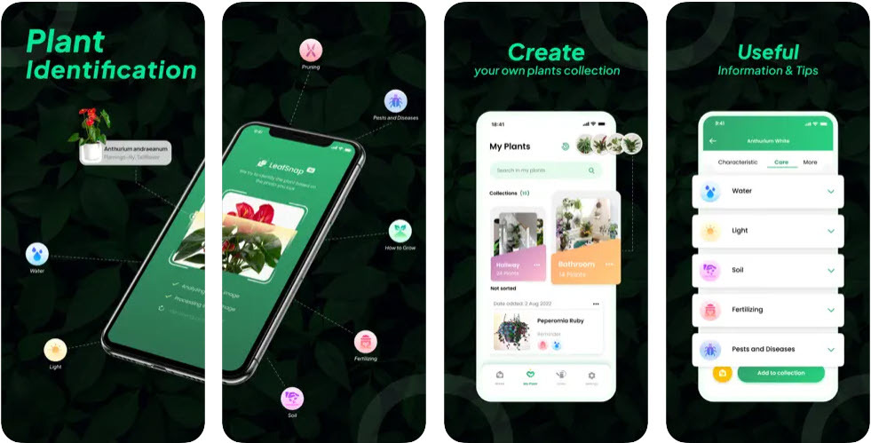 Beste Garten-Apps LeafSnap-Pflanzenbestimmung