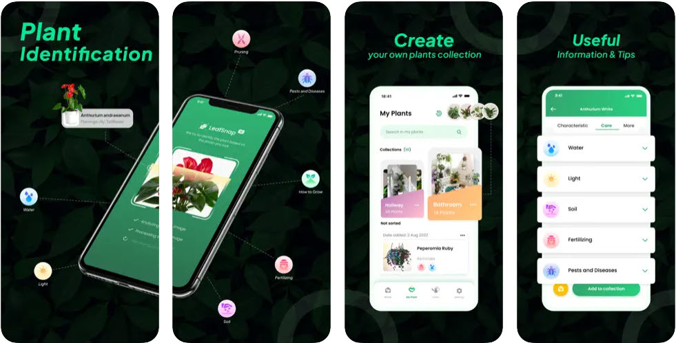 Las mejores aplicaciones de jardinería LeafSnap-Identificación de plantas