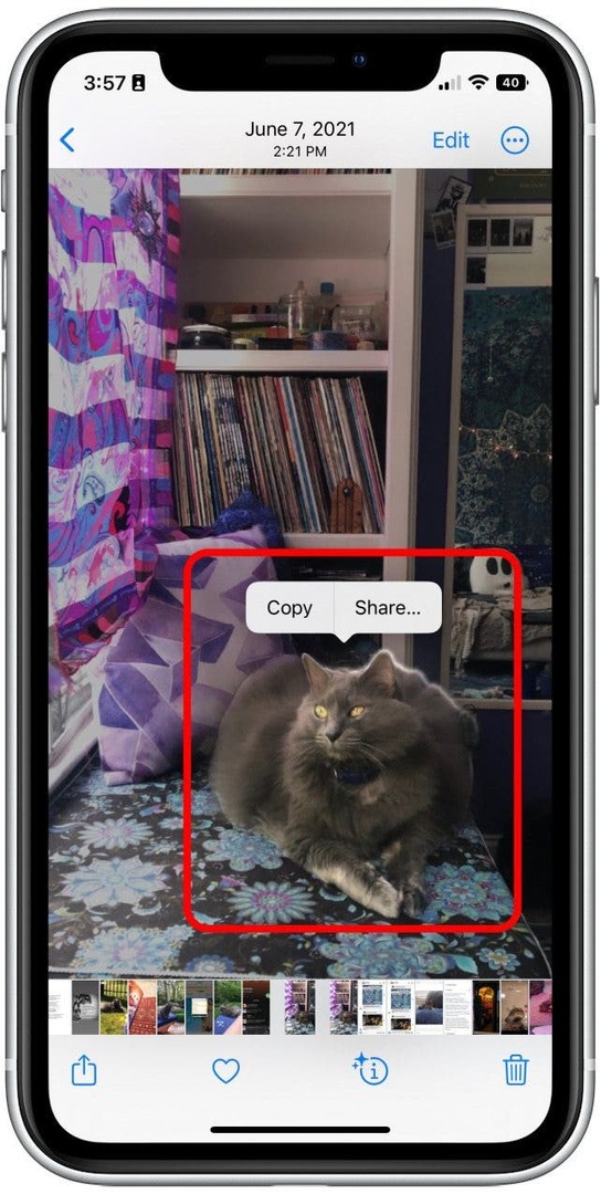 사진의 이미지를 길게 탭하면 은색 윤곽선이 있는 개체가 됩니다. 기본 설정에 따라 복사 또는 공유를 누릅니다.