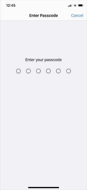 Inserisci la schermata del passcode da Impostazioni iPhone