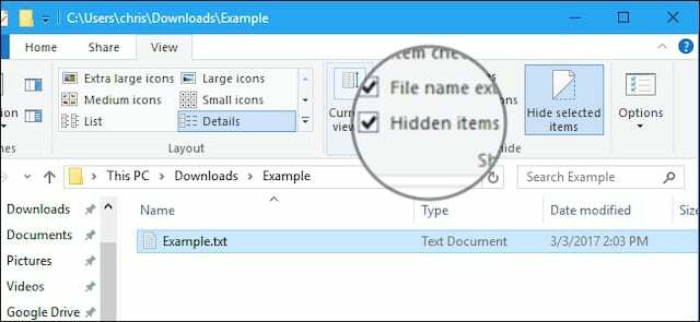 Marque la casilla de elementos ocultos en el Explorador de archivos.