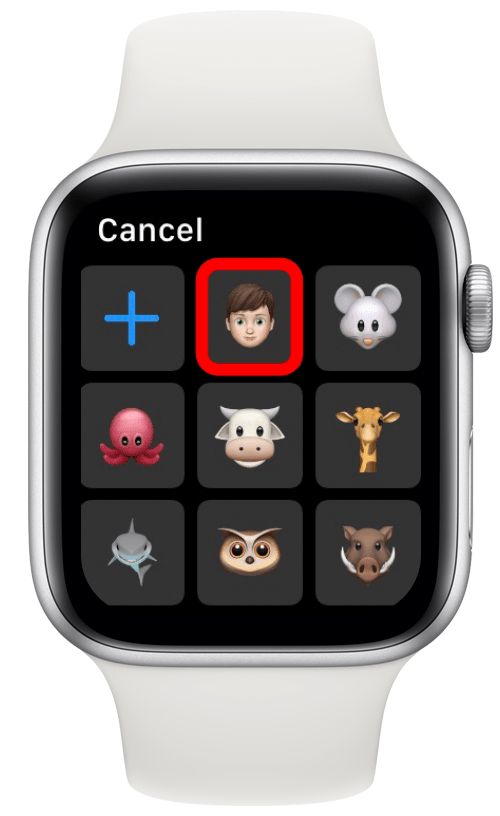 Selecione o tipo de Memoji ou Animoji que deseja navegar.