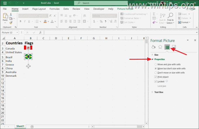 Zablokuj obraz w komórce programu Excel