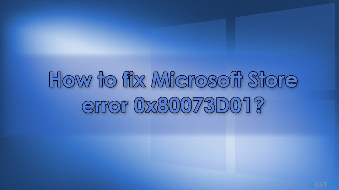 Wie behebt man den Microsoft Store-Fehler 0x80073D01?