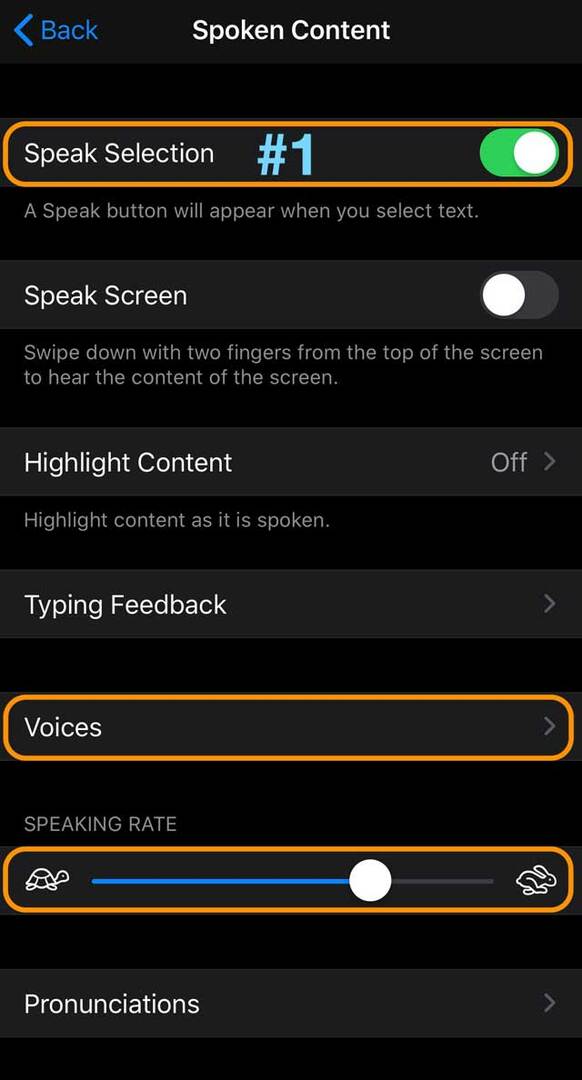 iOS 13 ja iPadOS-i juurdepääsetavuse kõnesisu seaded