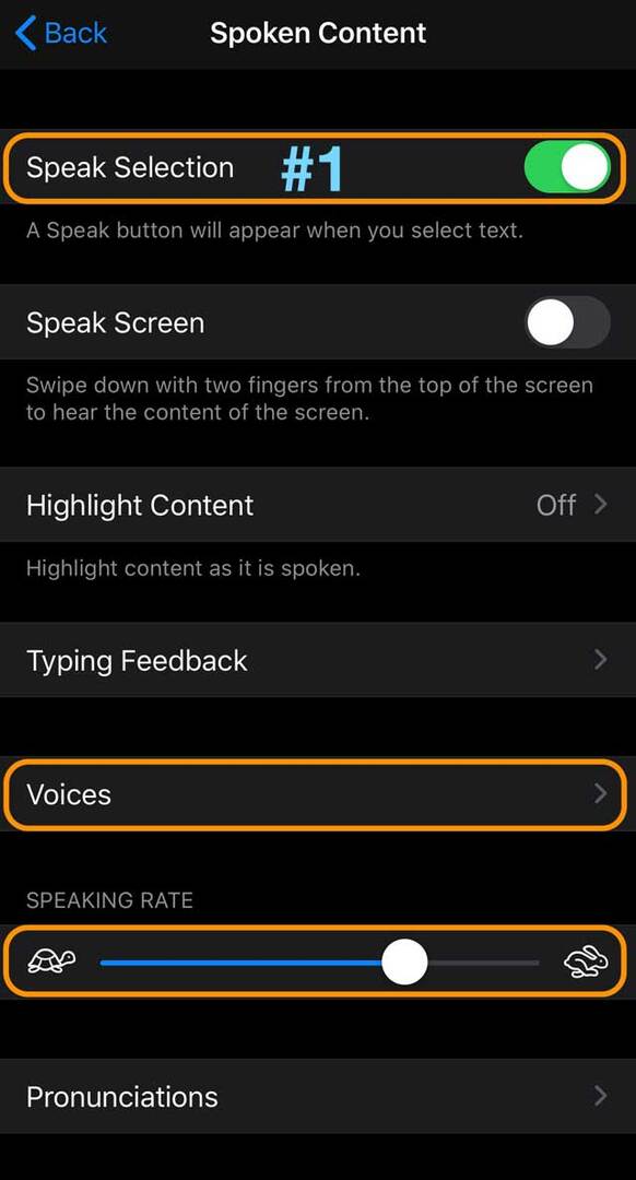 iOS 13 और iPadOS एक्सेसिबिलिटी स्पोकन कॉन्टेंट सेटिंग