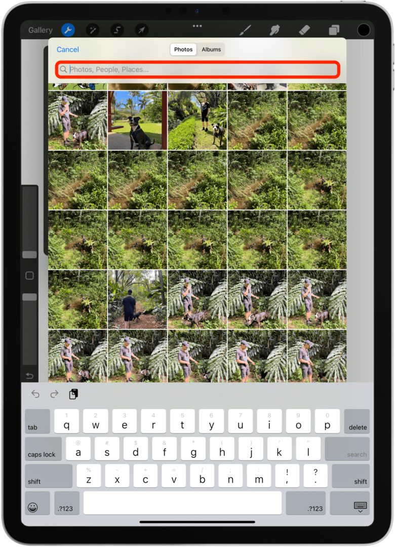 אתה יכול להשתמש בסרגל החיפוש כדי לחפש תמונות באפליקציית התמונות