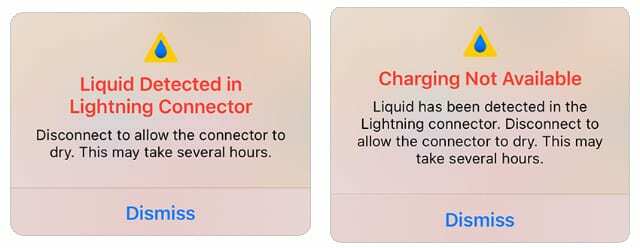 Flüssigkeit in der Lightning Connector-Warnung erkannt