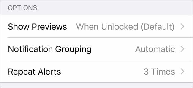 Instellingen voor iPhone-berichten Meldingen met de optie Herhaalwaarschuwingen