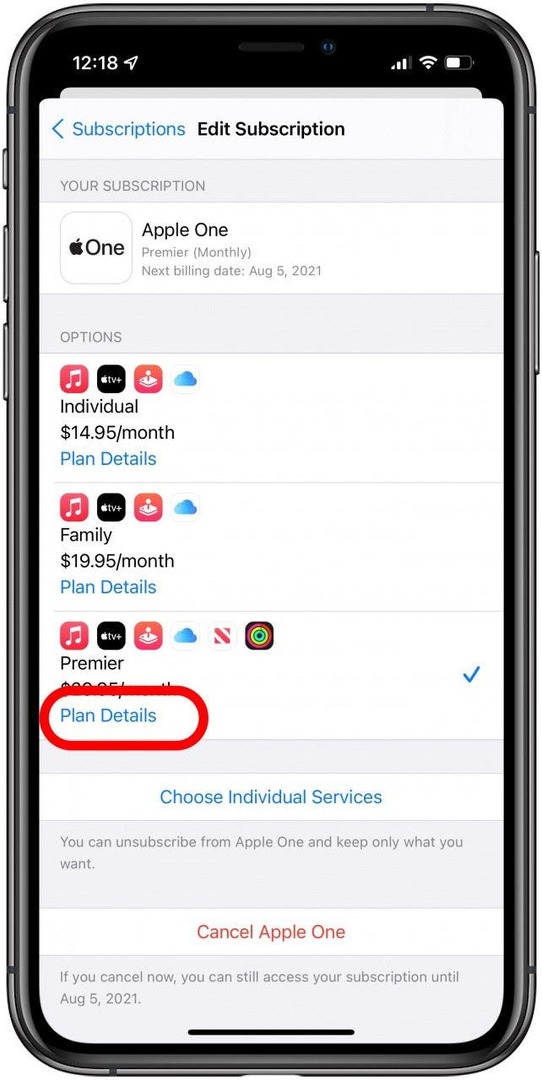 Para ver qual plano você possui, toque em iCloud ou Apple One para ver os Detalhes do Plano.