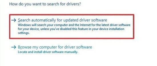 Cerca automaticamente il software del driver aggiornato