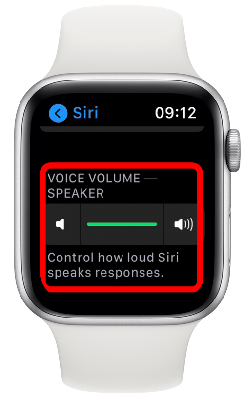 Under Röstvolym kan du styra hur högt Siri svarar. 