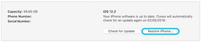 Botão Restaurar iPhone no Resumo do iTunes