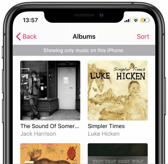 Nedlastet musikk, grå linje i iPhone Music-appen