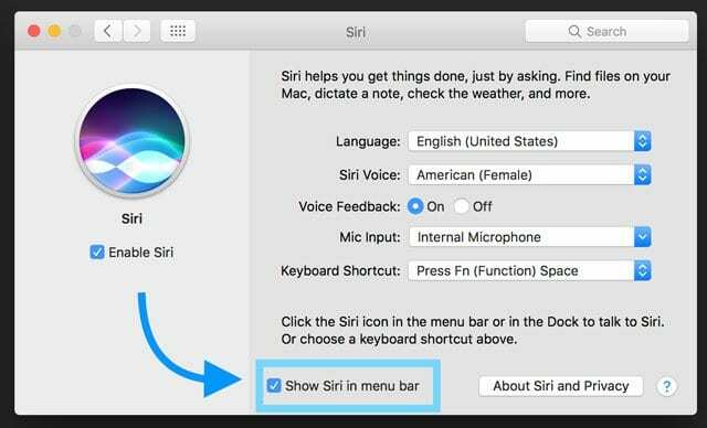 Kuidas lubada MacOS High Sierras Siri sisestamine