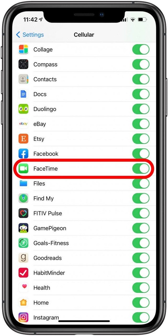 Scrollen Sie nach unten zur Liste der Apps und stellen Sie sicher, dass FaceTime eingeschaltet ist.