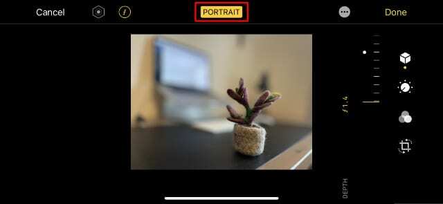 Butonul portret în ecranul de editare foto al iPhone