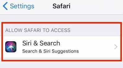 Cómo borrar las sugerencias de búsqueda de Safari en iPhone