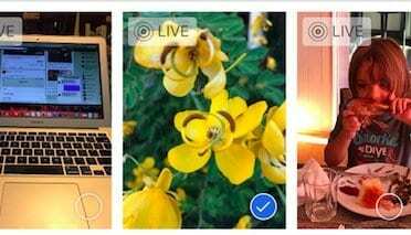 Utilisation de Live Photos sur iPhone, guide complet