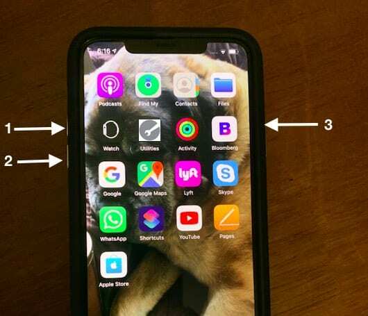 Piespiedu restartēšana iPhone 11 Pro