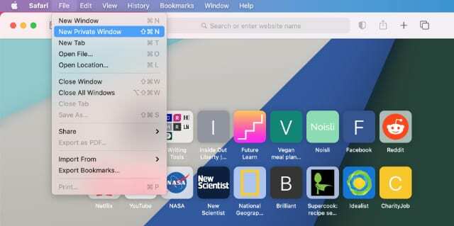 قائمة نافذة خاصة جديدة في Safari على Mac