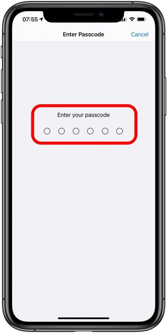 Inserisci il tuo passcode per ripristinare il tuo iPhone alle impostazioni di fabbrica