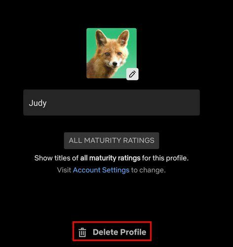 Kustuta Netflixi profiil