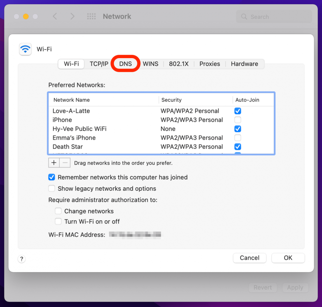 Scheda DNS per problemi di Internet quando Safari non riesce a connettersi al server