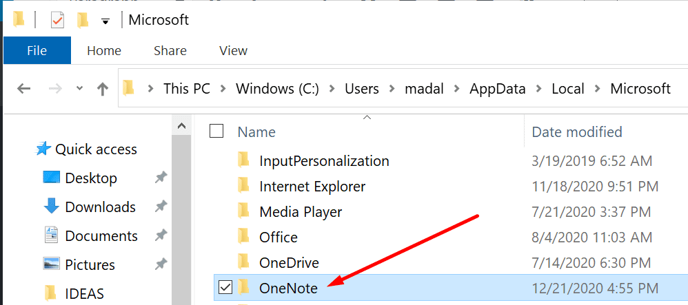 datos de la aplicación local onenote