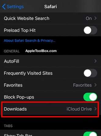 Safari Download manager in iOS 13 e iPadOS