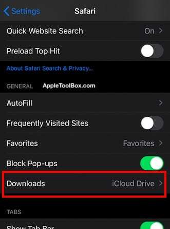 Safari Download manager no iOS 13 e iPadOS