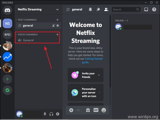 streaming netflix ke discord