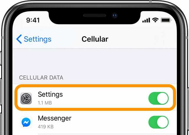 activar datos móviles para la aplicación Configuración en iPhone