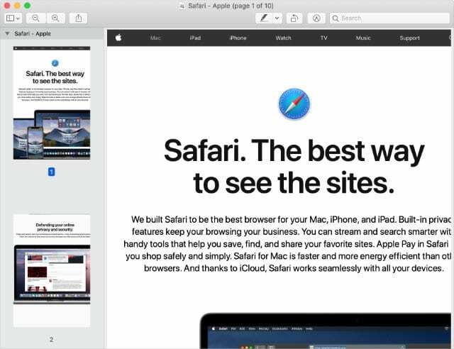 Sitio web de Safari exportado a PReview