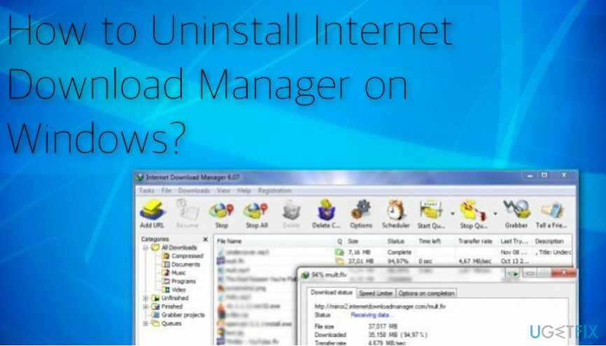 Internet Download Manager v procesu odinstalace systému Windows