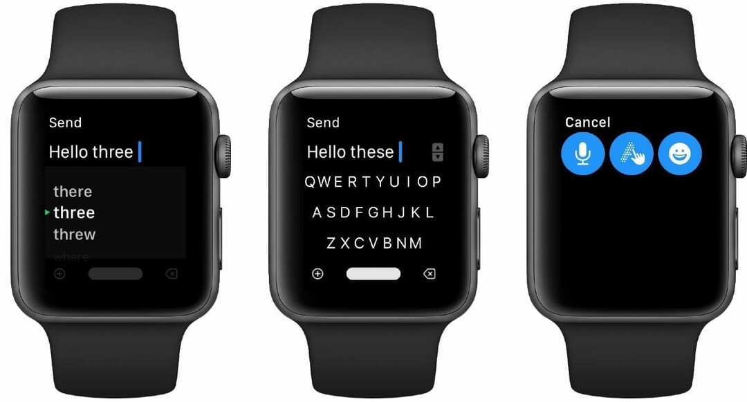 FlickType Apple Watch