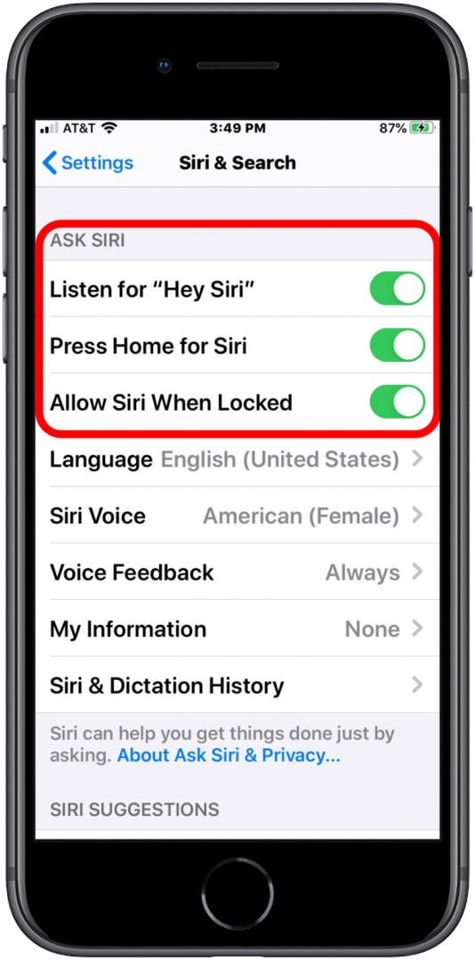 pengaturan siri di iphone