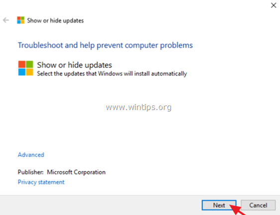 zobraziť alebo skryť aktualizácie systému Windows 10