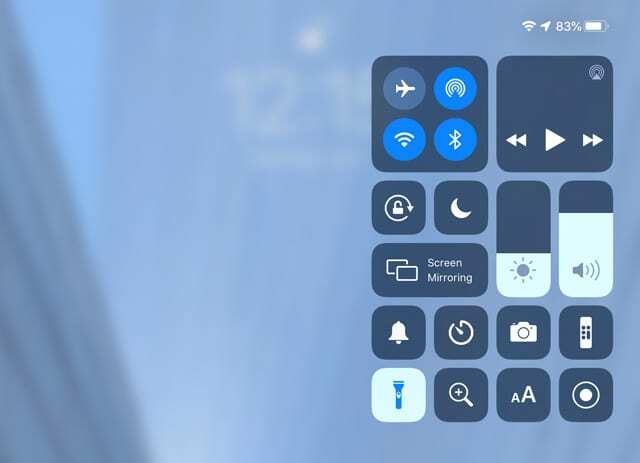 centro di controllo della torcia su iPad Pro