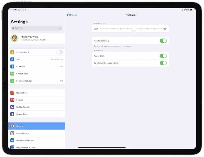 Trackpad Controls iPad Pro