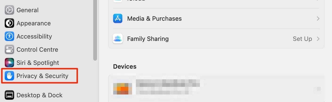 Skærmbillede, der viser indstillingen Privatliv + Sikkerhed i macOS